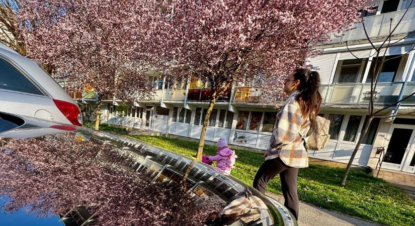 Sárga és narancs riasztás lépett érvénybe Zalában, fontos tanácsok érkeztek a katasztrófavédelemtől!