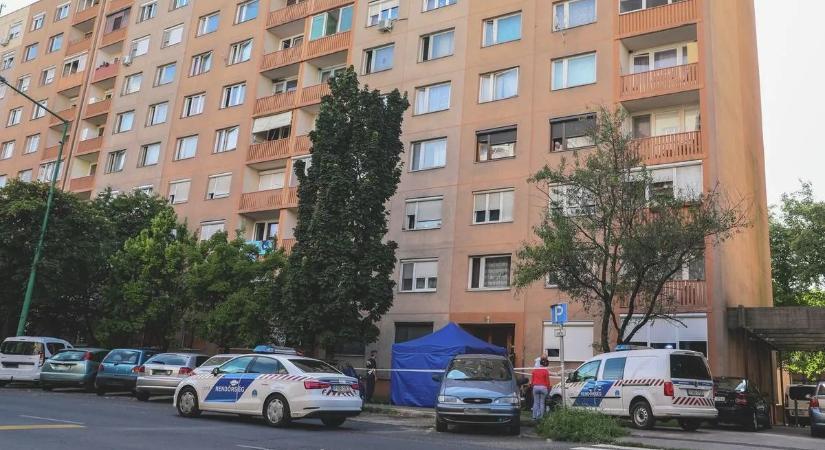 Felfoghatatlan tragédia: 7. emeletről zuhant le egy fiatal lány Pécsen