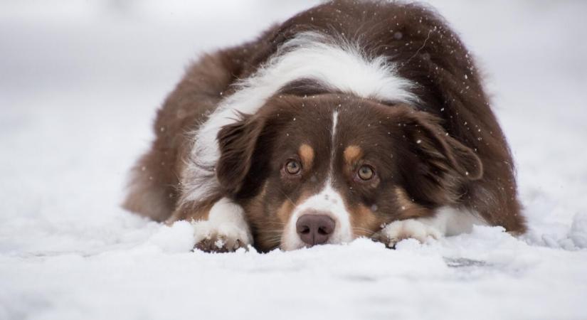 10-15 centiméter hó is eshet csütörtökön