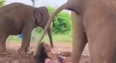 Ami kicsiben bevált… – A nap videója