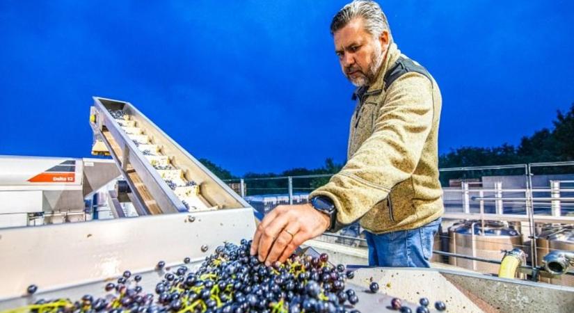 Hatalmas borász siker: az etyeki Mérész Sándor a legjobbak közé robbant