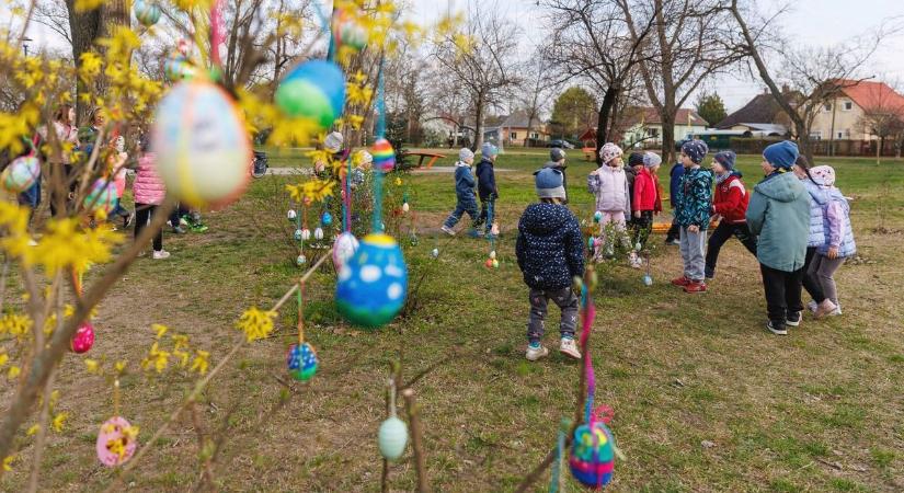 Csodájára jár a Csapókert a húsvéti tojásfának! – fotókkal, videóval