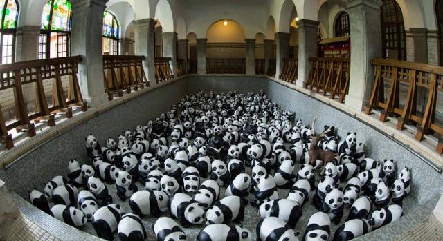 7 másodperces kihívás: megtalálod a kutyát a pandák között?