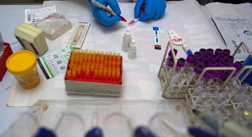 Halálos vírus terjed Európában: jobb lesz vigyázni, nagyon nehéz felismerni a tüneteket