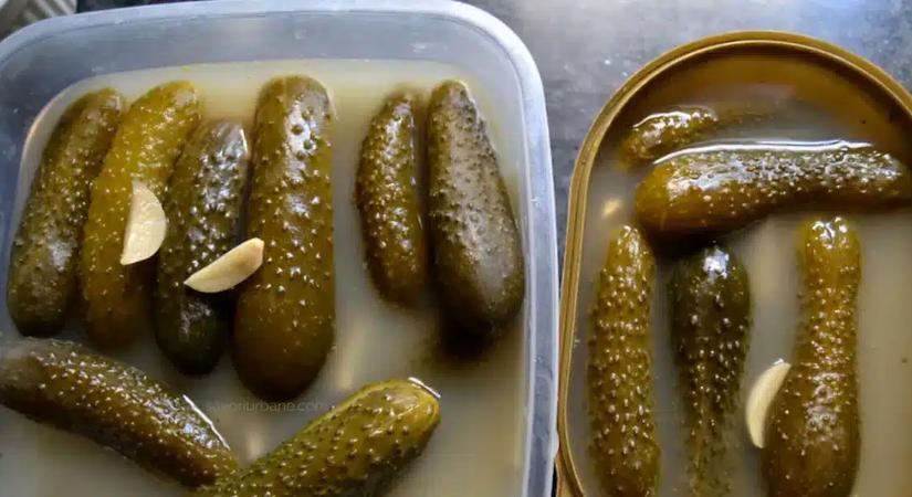 Trükk, amit sokan nem használnak: így készül kovászos uborka kenyér nélkül