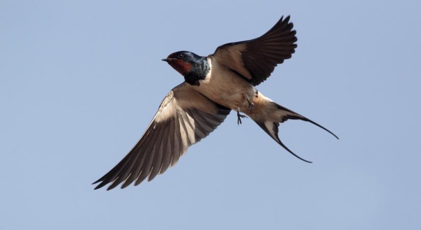 Ami április 1-től indul Magyarországon, olyan nem lesz több az évben