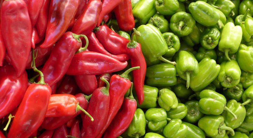 Egyiptomi paprika tarol az EU-ban a versenytársak kiesése miatt