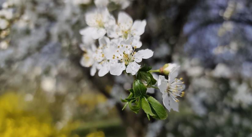 Meglepetéseket tartogathat a holnapi időjárás Hevesben