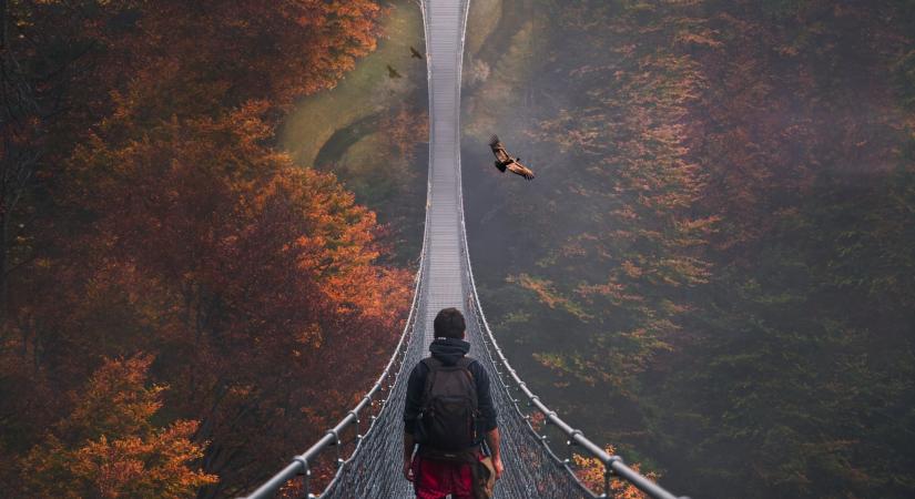 16 évet kellett rá várni, de végre kiderült minden idők egyik legnagyobb filmes rejtélye