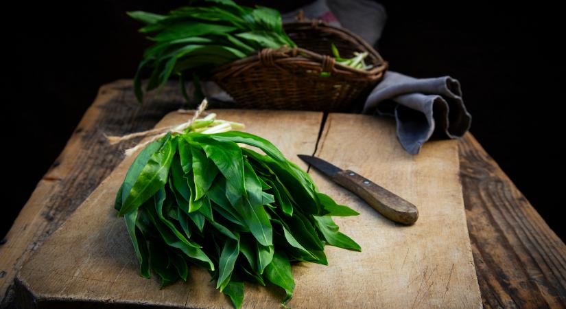 Ezért tesz csodát a szervezeteddel a medvehagyma – 5 ok, amiért most kell enned