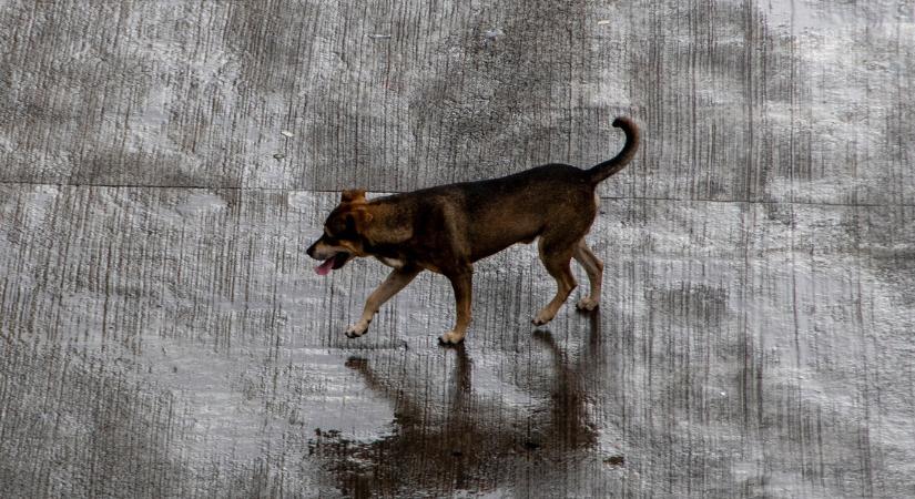 Orvosmeteorológia: fejfájást és levertséget hozhat a hidegfront