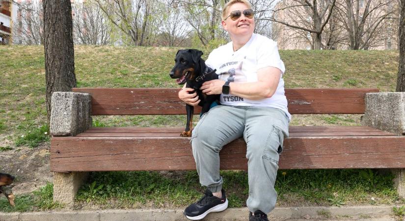 A szekszárdi Tyson kiütéssel győzött – úgy tűnik, ő az ország legjobbja (videó és képgaléria)