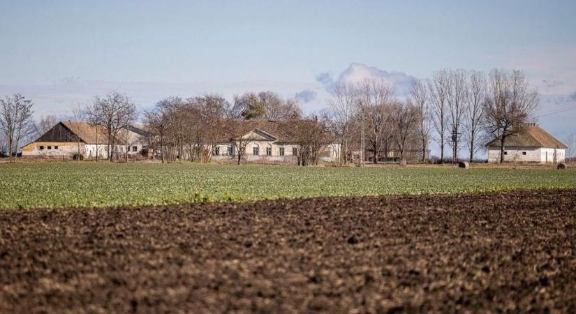 Agresszíven támadnak, ahol egyszer megjelennek, ott már csak a kár marad