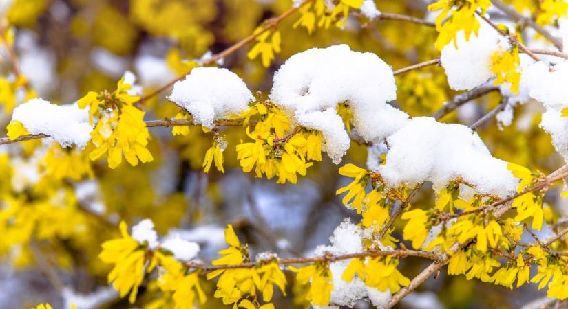 Itt az ítéletidő, esernyő és kabát nélkül el ne indulj!