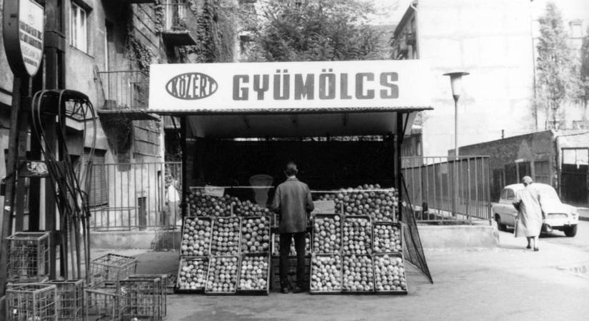 Kokojsza, duránci, köszméte – tudod, milyen gyümölcsöt hívták így dédanyáink?