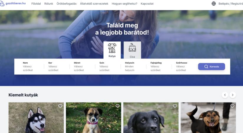 Korszerű gazdikereső oldal indul a Közös ügyünk az állatvédelem Alapítvány támogatásával