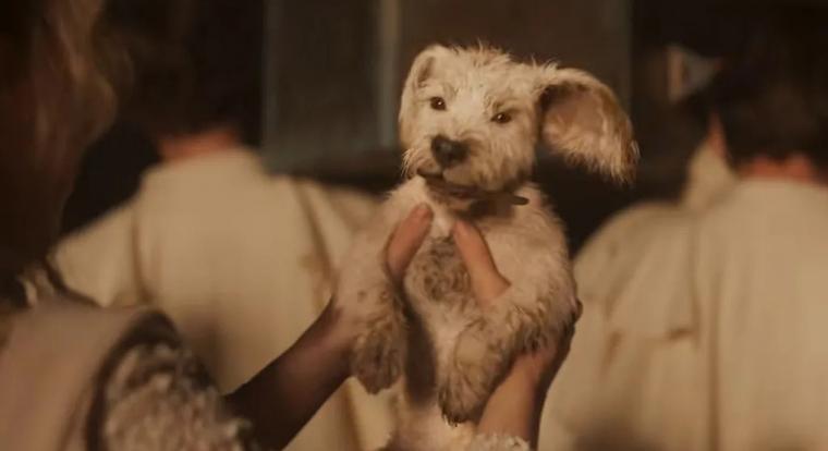 A Supergirl új előzetese végre megmutatta, honnan jött Krypto