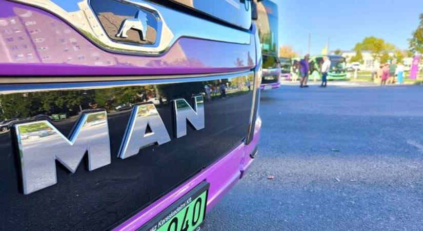 Dühkitörés a megállóban: késett a busza, ezért lefejelte a sofőrt ( videó)