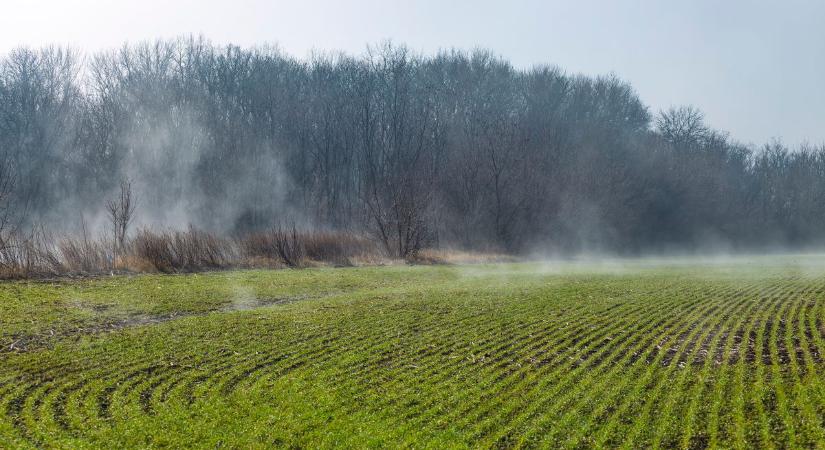 Meglepő fordulat: így vészelték át a telet az őszi vetések