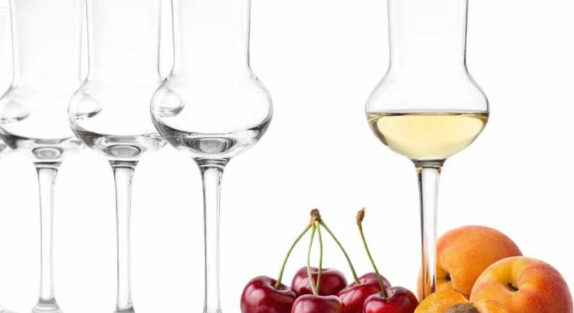 Gombosi Pálinkafőző sikere a Nemzeti Pálinkakiválóságok versenyén: Kajszi és Meggy pálinkák eredménye