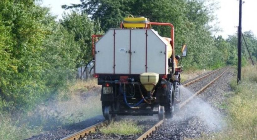 Tilos a legeltetés! Fontos felhívást tett közzé az önkormányzat