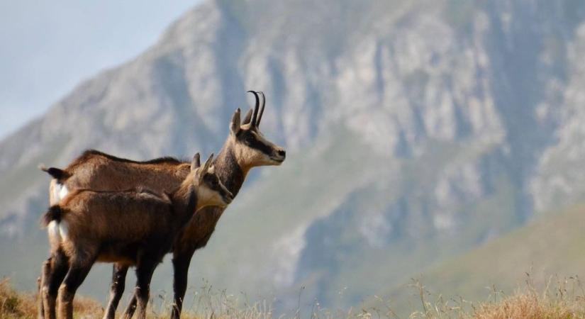 Egy fotó az Instára? Akár százezer forintos bírságot is érhet