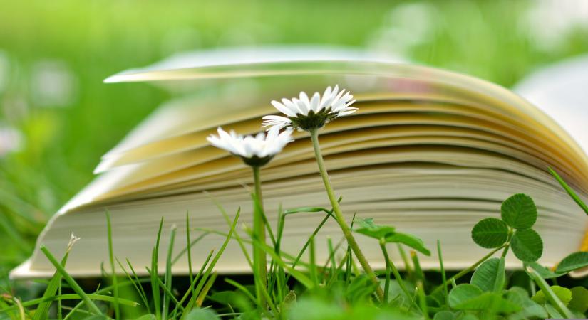 Konferencia – kötelezőkről