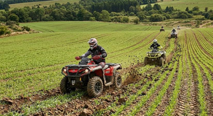 Betelt a pohár, Igalban kemény lépésékre szánta el magát a polgármester