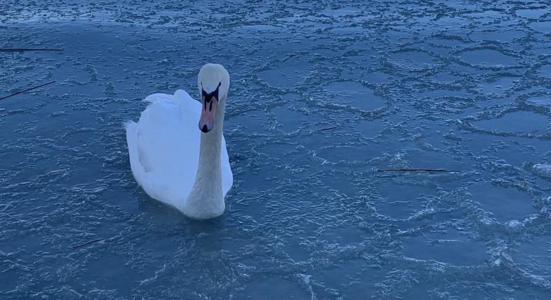 A vendégéjszakák száma 5,2 százalékkal, a bevétel 3,3 százalékkal nőtt februárban a turisztikai szálláshelyeken