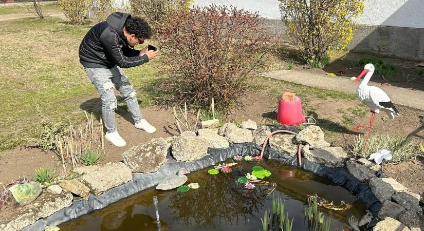 Világsiker Szekszárdról: 83 film közül lett magyar a legjobb