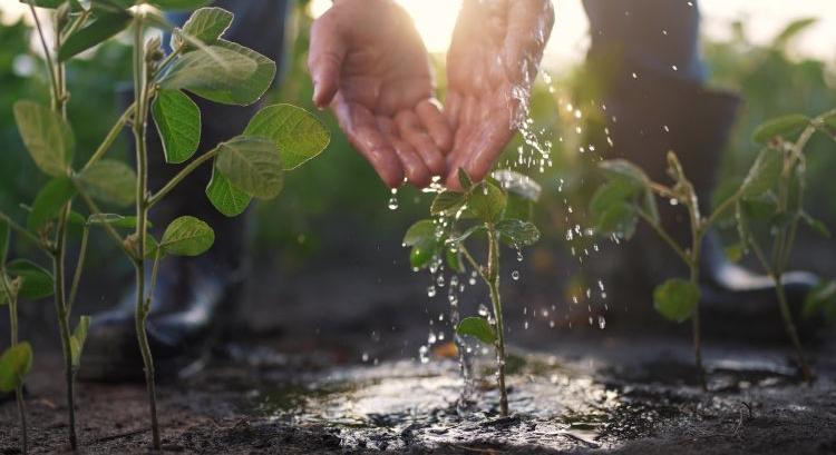 Van remény, de víz kell a földekre