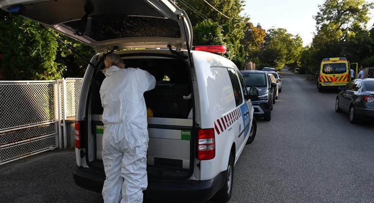 Elment egy fesztiválra, majd hazaért, és megölte az anyját