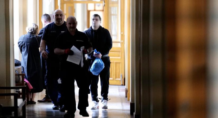 „Bocsáss meg nekem, anyu!” – elítélték az anyját 37 szúrással lemészároló férfit