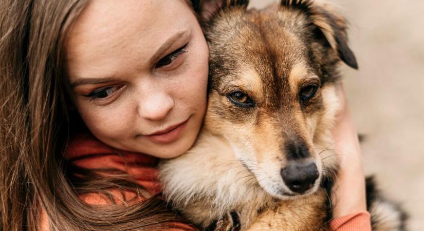 Fogadj örökbe állatot! Indul a gazditkeres.hu