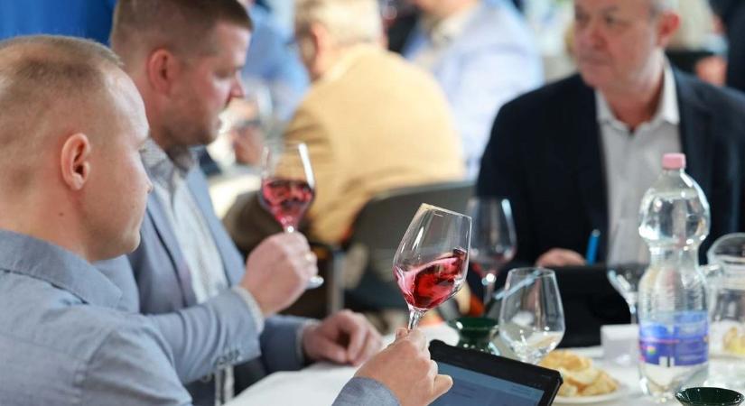 A legjobb borok legjobb versenye Szekszárdon – vajon kié lesz a csúcsbor? (képgalériával)