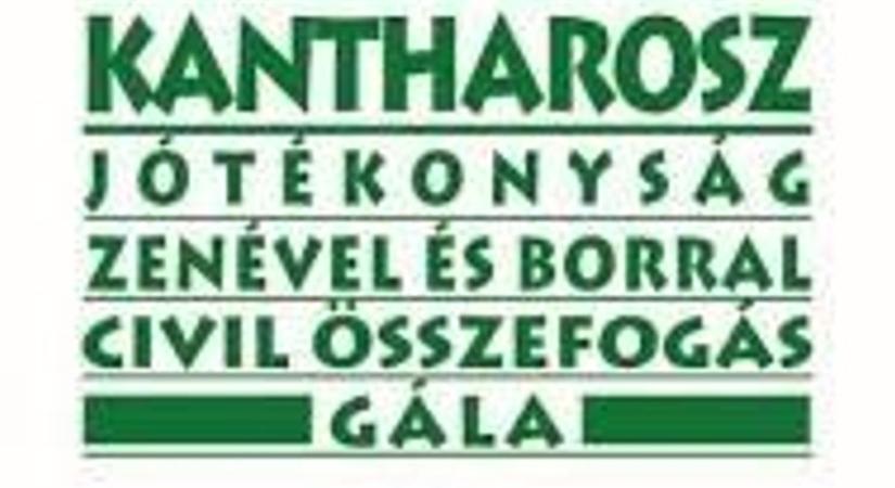 Pályázati felhívást hirdettek a „Kantharosz a gyermekek jövőjéért, a jövő nemzedékéért”