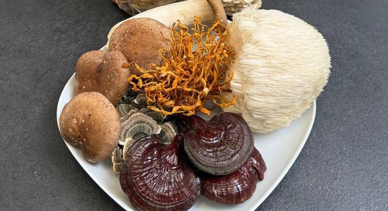 Fókuszvesztés és állandó fáradtság? Nem a koffein a megoldás!