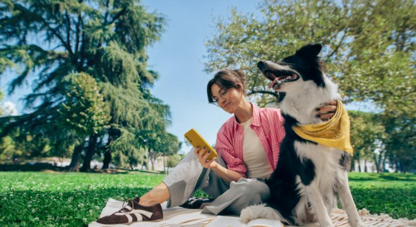 Rendszeres megtakarításból tudatos befektetés