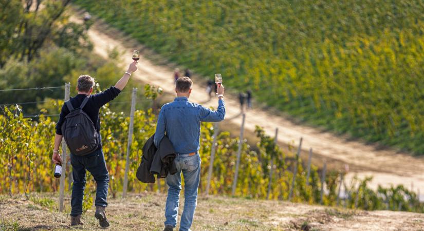 Februárban sem fékezett a hazai turizmus: a vendégek száma 4,6 százalékkal, a vendégéjszakák száma 5,2%-kal nőtt