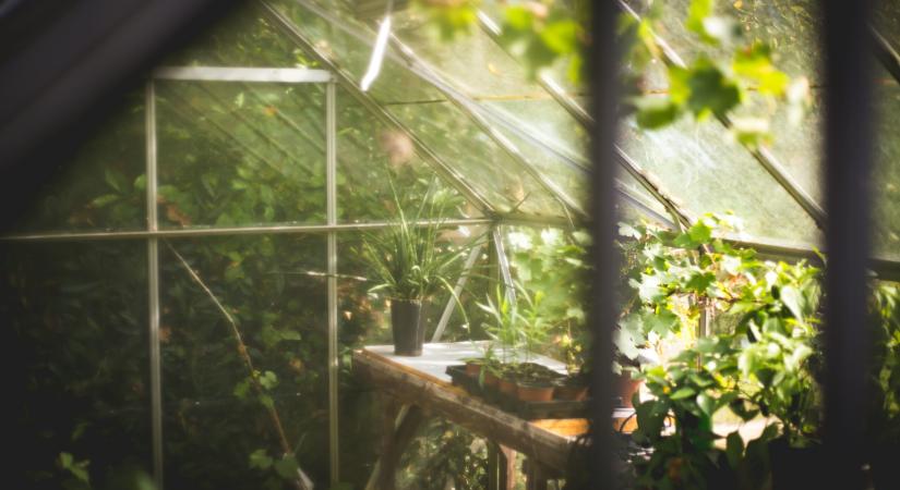 A kertészkedés újra a mindennapok része lehet – elindult a Kertművelő, a Nébih új kertészeti programja