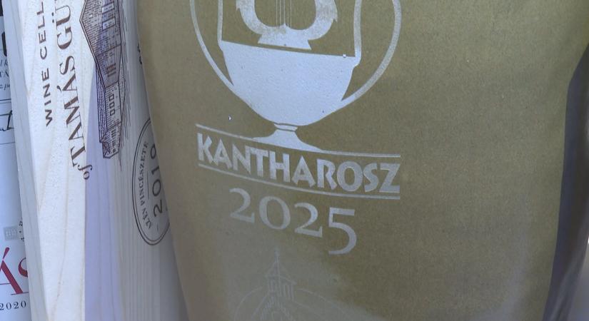 Pályázati lehetőség gyermekek és fiatalok támogatására – újra indul a Kantharosz Civil Összefogás programja