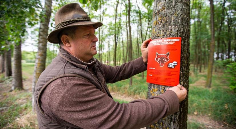 Ebzárlat és legeltetési tilalom – fontos felhívást tett közzé az önkormányzat