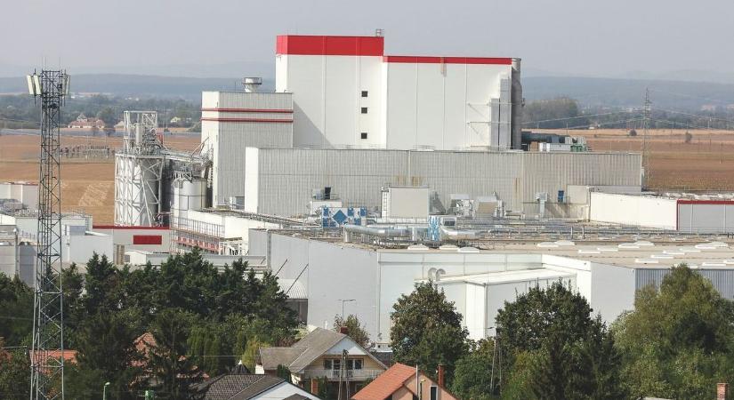 Bobor Roland a Nestlé szerencsi és diósgyőri gyárainak új igazgatója