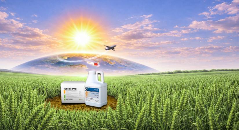 A megfelelő időzítés jelentősége a levél- és kalászbetegségek elleni védekezésben