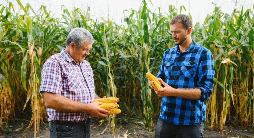 Ki viszi tovább a gazdaságokat? Borul a papírforma!