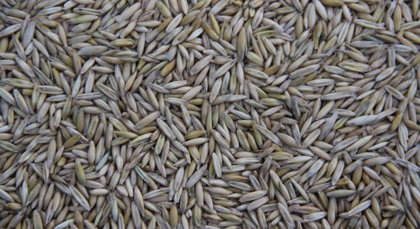 Eredményesen zárult az ISTA szakmai workshopja Budapesten