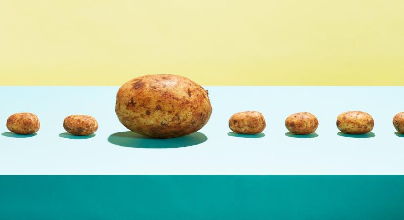 Nem akarnak génszerkesztést a biotermelők: a miniszter segítségét kérik