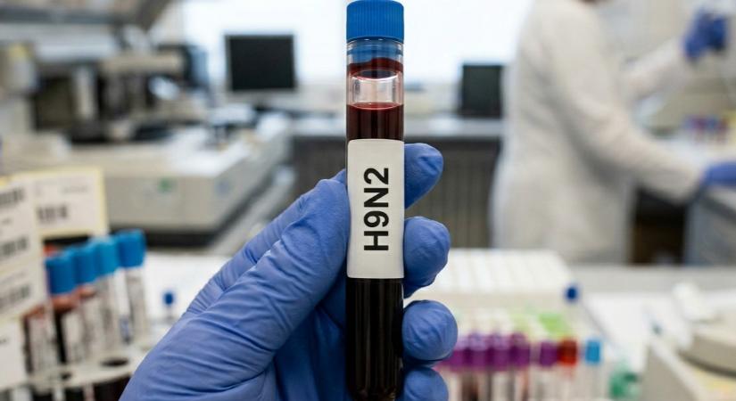 H9N2 humán fertőzést igazoltak Olaszországban