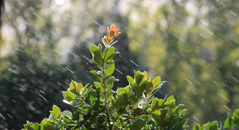 Szeszélyes tavasz: kettészakadt az ország, óriási különbséget mértek