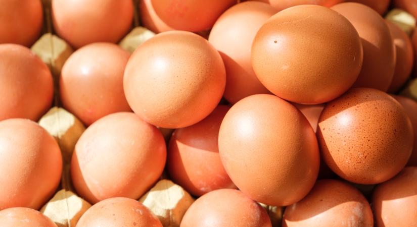 Így főzhet tökéletes tojást repedés nélkül – egy egyszerű trükk a titok